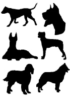 Cat / Dog Stickers